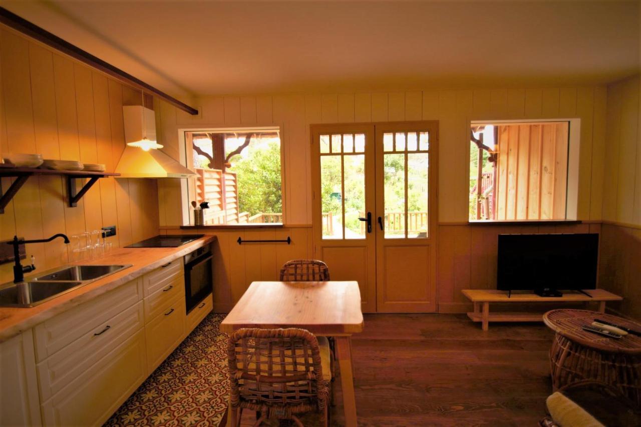 Les Jardins De La Sud Apartment Lacanau Bagian luar foto